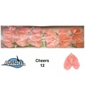 Anthurium Cheers 