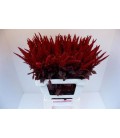 Amaranthe Velvet 70 cm