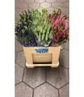 Veronique smart mix 60 cm