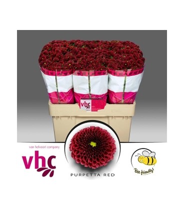 Santini Pur Red 
