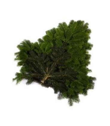 Botte de 5 kg Normann