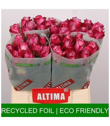 Rose Deep Purple 40 cm