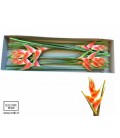 Heliconia Red Jewel