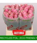 Rose Athena Royale 40 cm