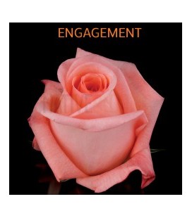 Rose Equateur Engagement 50 Cm