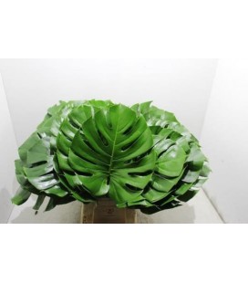 Monstera diam 35 cm