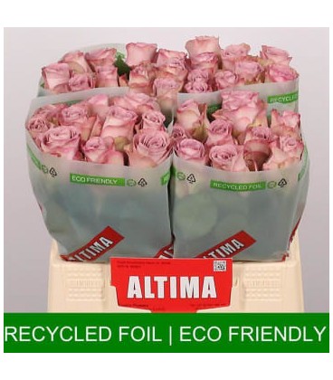 Rose Memory laine 40 cm