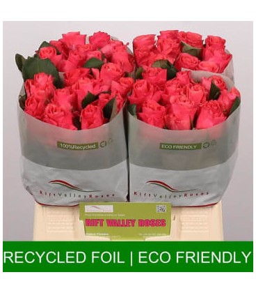 Rose Pink Taccazi 40 cm