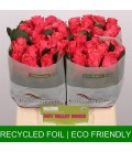 Rose Pink Taccazi 40 cm