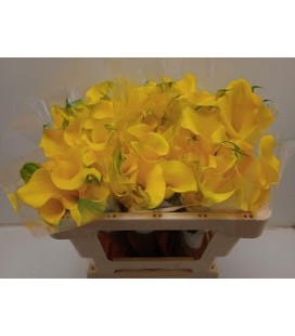 Calla Captaine Solo 55 cm