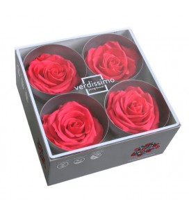 Rose Stab Premium 4 tetes Rose Fonc