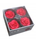 Rose Stab Premium 4 tetes Rose Fonc