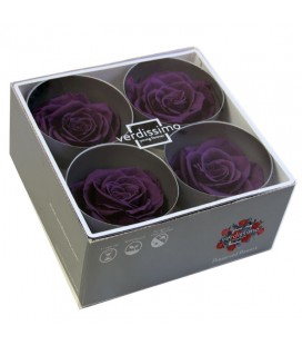 Rose Stab Premium 4 tetes Violet