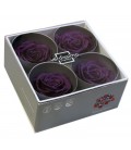 Rose Stab Premium 4 tetes Violet