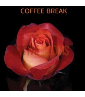 Rose Equateur Coffee Break 50 cm