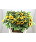Tournesol Sunrich 80 cm