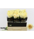 Rose Buttercup 60 cm