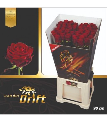 Rose Red Naomie 90 cm