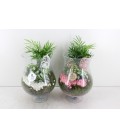 Compo vase diabolo rose ou blanc