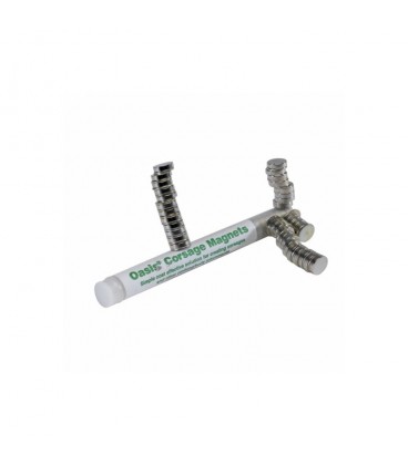 Corsages Magnetiques Oasis 1 cm X30