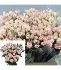 Rose Branchue Lydia 40 cm