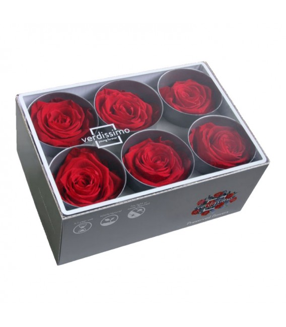 Rose Stab Standard 6 tetes Rouge