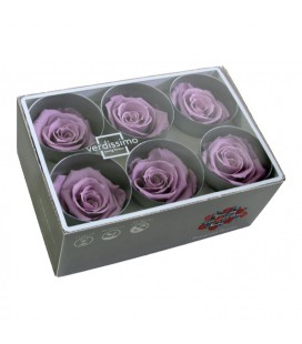 Rose Stab Standard 6 tetes Lilac