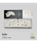 Phalaenopsis Kobe x45