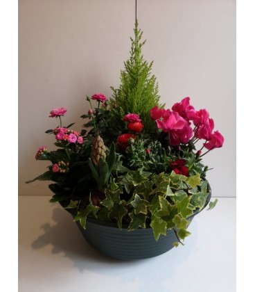 Coupe Plantes Ext 40.50 cm 17 ( A commander 24h avant livraison )