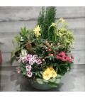 Coupe Plantes Ext 45 cm 22 ( A commander 24h avant livraison )