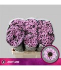 Santini Yin Yang Pink