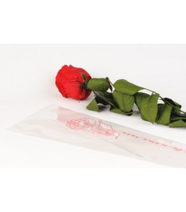 Etui a rose Floral rouge65x13.5 x50