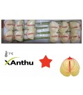 Anthurium Kaseko x 12