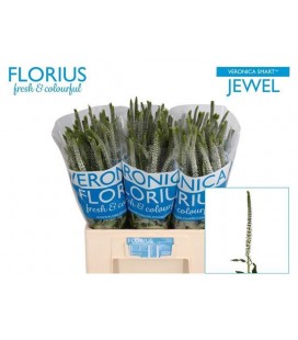 Veronique Smart Jewel 60 cm