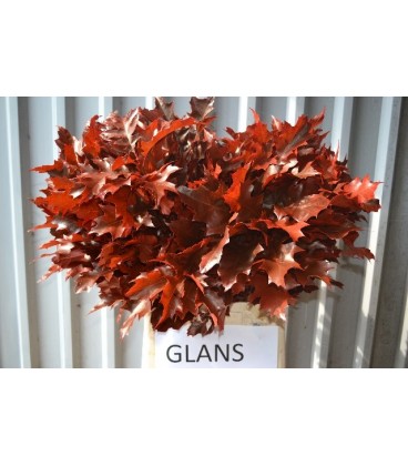 Feuille de Chene Orange 80 cm