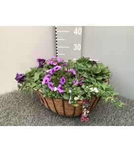 Suspension Plantes Fleurie 40 cm