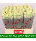 Rose Athena ukraine 60 cm