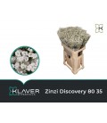 Gypso Discovery 80 cm