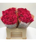Rose Branchue Quincy 40 cm