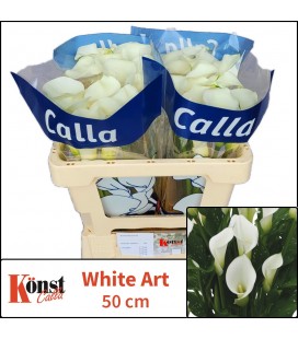 Calla White Art 50 cm
