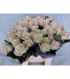 Rose Talea 40 cm