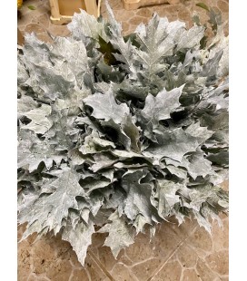 Feuilles de chene teinté Blanc 80cm