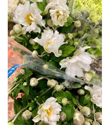 Anemone 70 cm