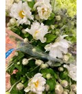 Anemone 70 cm