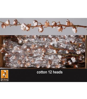 Branche de coton 8 fleurs 80 cm