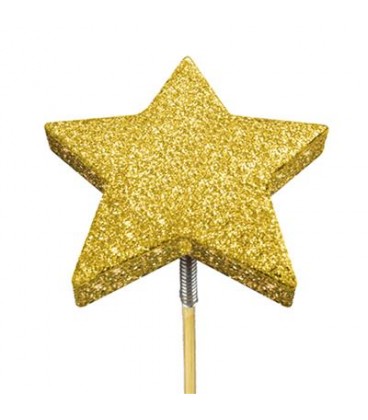 Pics Etoile Or tiges 12 cm x24