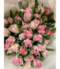 Tulipe Pink Foxtrot