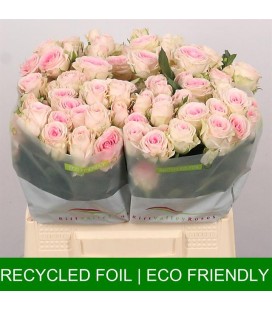 Rose Branchue Good Mood 40 cm x 25