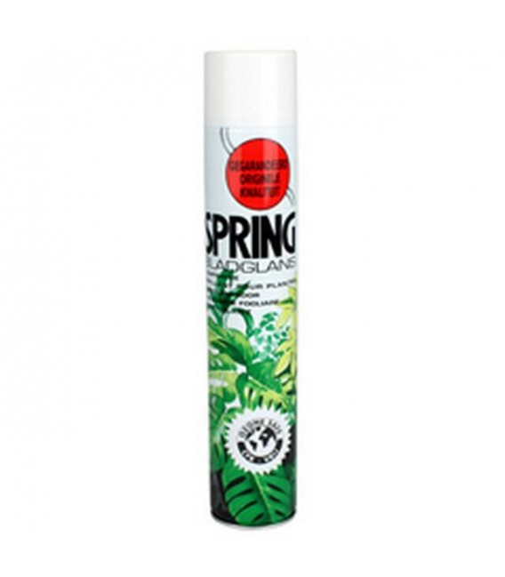 Lustrant Spring 750 ml