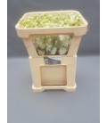 Delphinium Centurion White 60 cm